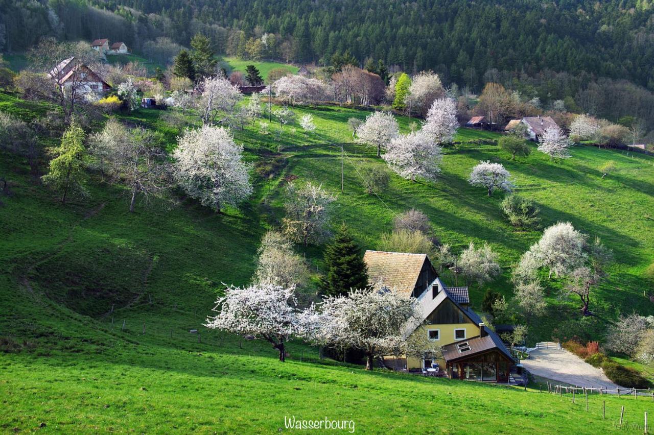 Chalet Du Silberrain Pres De Colmar - Cheminee, Sauna, Piscine Partagee Osenbach 외부 사진