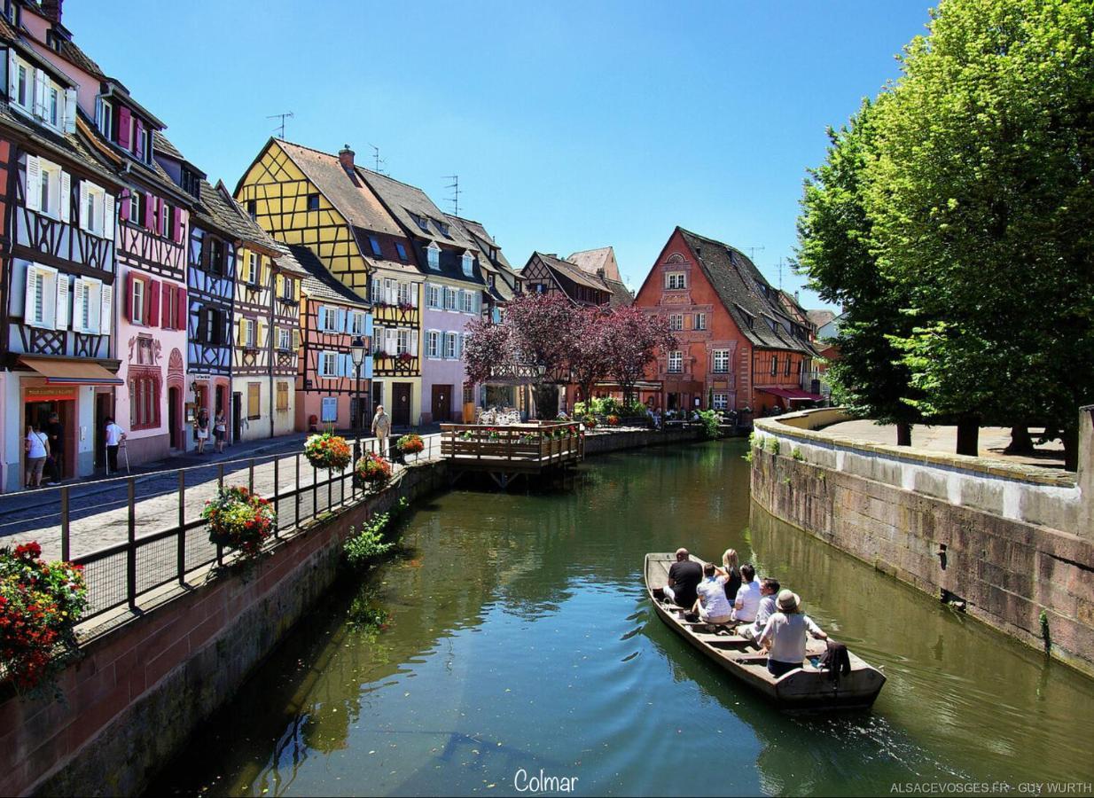 Chalet Du Silberrain Pres De Colmar - Cheminee, Sauna, Piscine Partagee Osenbach 외부 사진