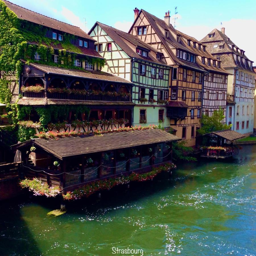 Chalet Du Silberrain Pres De Colmar - Cheminee, Sauna, Piscine Partagee Osenbach 외부 사진