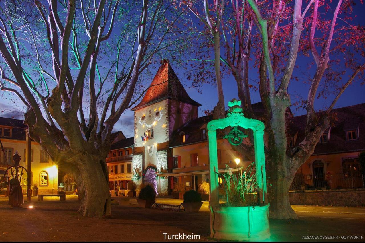 Chalet Du Silberrain Pres De Colmar - Cheminee, Sauna, Piscine Partagee Osenbach 외부 사진