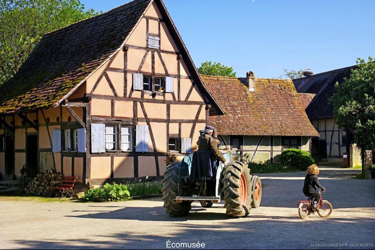 Chalet Du Silberrain Pres De Colmar - Cheminee, Sauna, Piscine Partagee Osenbach 외부 사진