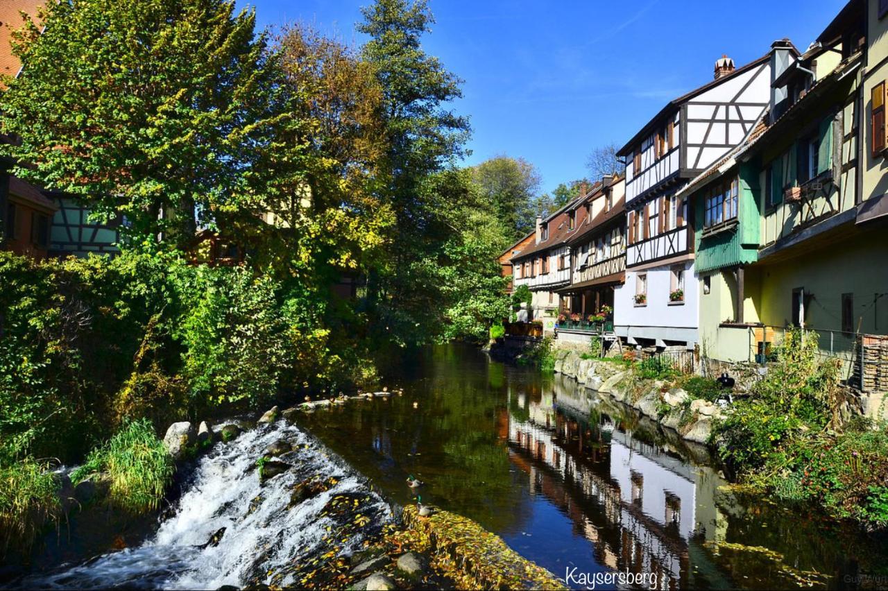 Chalet Du Silberrain Pres De Colmar - Cheminee, Sauna, Piscine Partagee Osenbach 외부 사진